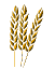Wheat-graphic